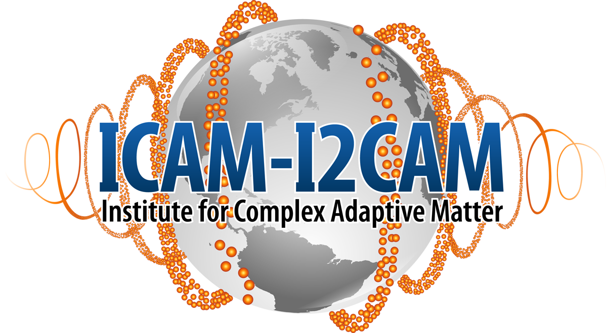 ICAM Logo